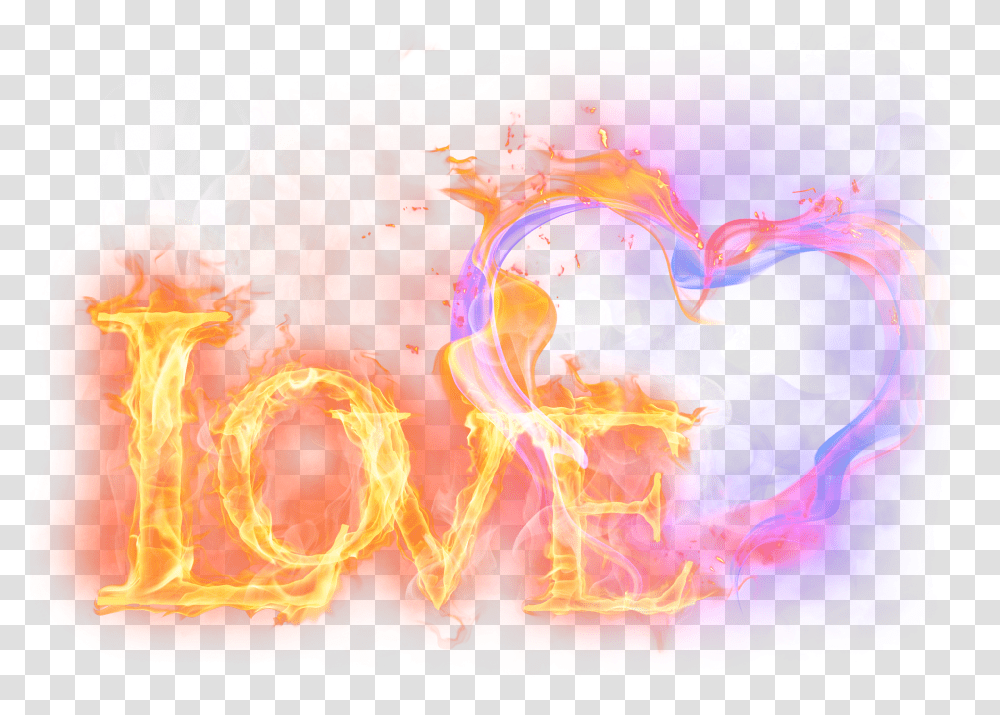 Love And Fire, Light, Animal, Sea Life Transparent Png
