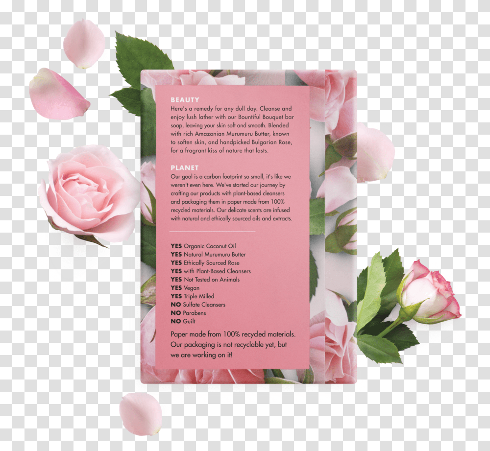Love Beauty And Planet Murumuru Butter Amp Rose Body Garden Roses, Flower, Plant, Blossom, Petal Transparent Png