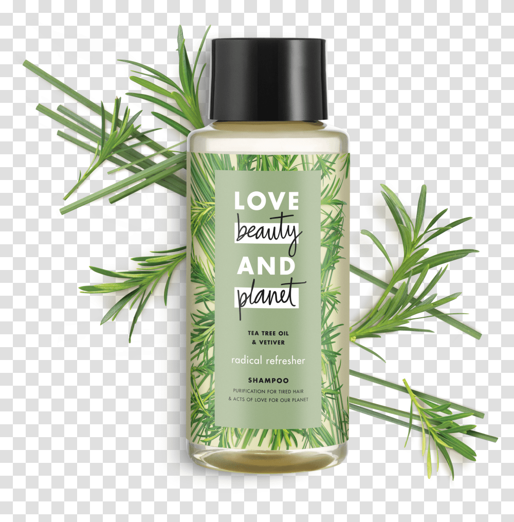 Love Beauty And Planet Tea Tree Oil Amp Vetiver Shampoo Transparent Png