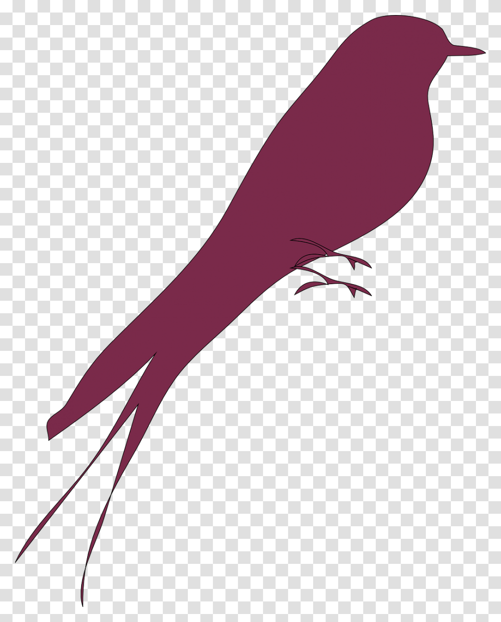 Love Bird Bird Purple Free Photo Vektor Burung Love Bird, Animal, Arm, Apparel Transparent Png