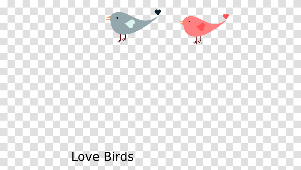 Love Bird Cartoon, Fish, Animal, Blackbird Transparent Png