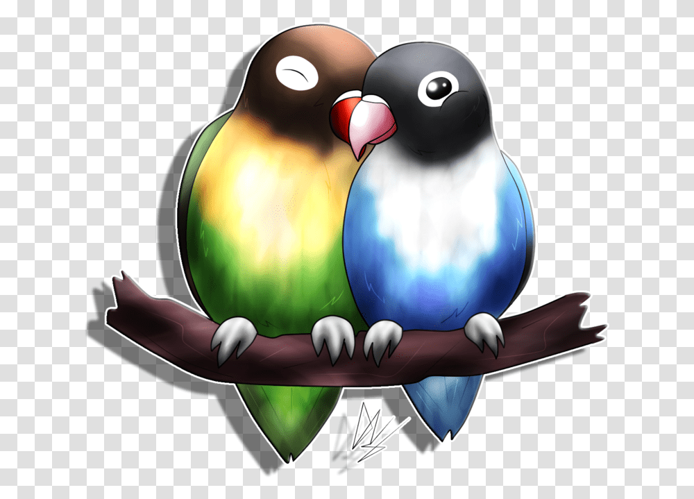 Love Bird Wallpaper, Animal, Parakeet, Parrot, Puffin Transparent Png