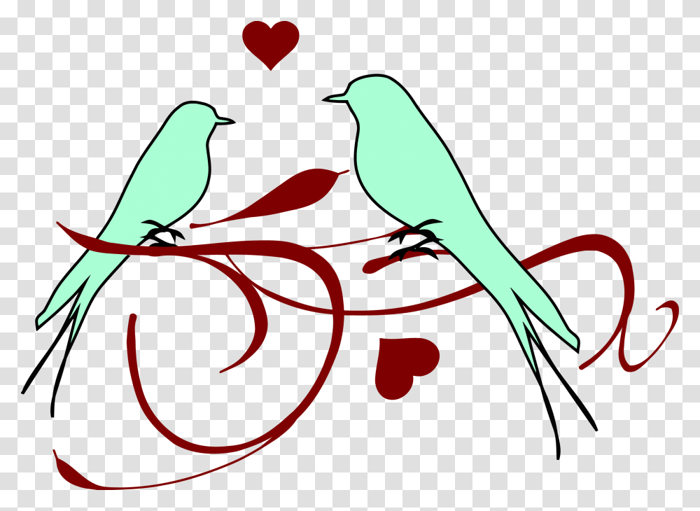 Love Birds, Animal, Parakeet, Parrot, Finch Transparent Png