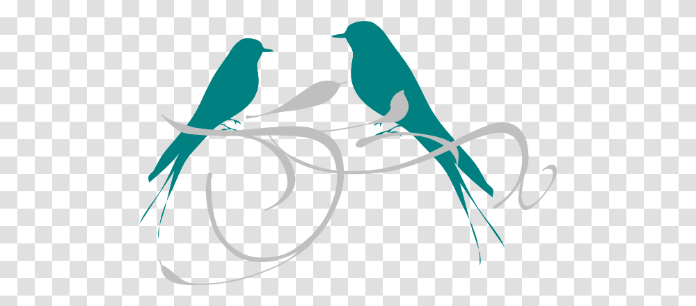 Love Birds Branch Clip Art, Animal, Finch, Jay, Beak Transparent Png