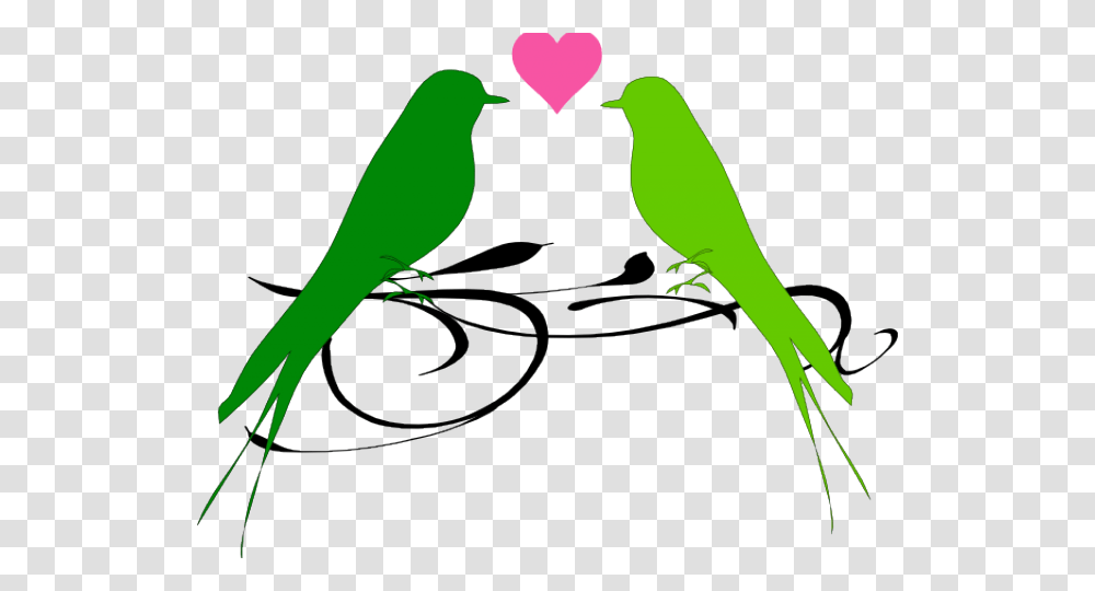 Love Birds Clipart Bird, Animal, Parakeet, Parrot, Finch Transparent Png
