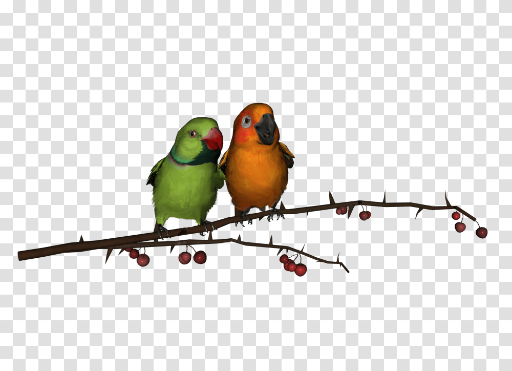 Love Birds Clipart Photos, Animal, Parakeet, Parrot, Beak Transparent Png