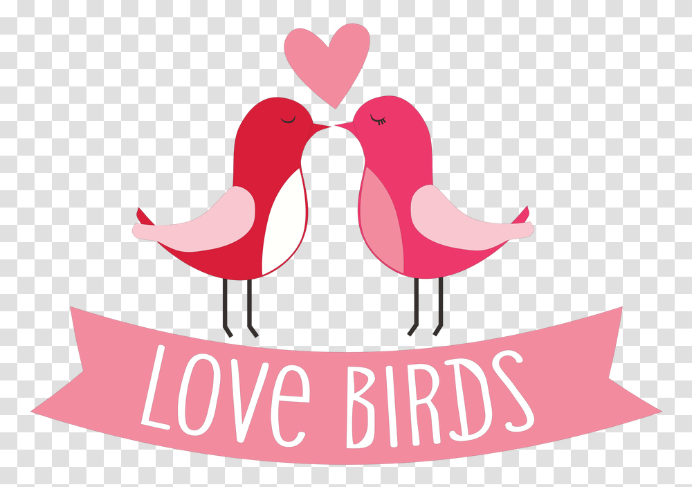 Love Birds Turkey, Animal, Flamingo, Label Transparent Png