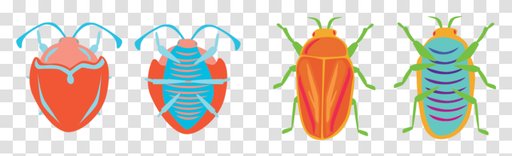 Love Bugs, Insect, Invertebrate, Animal, Firefly Transparent Png