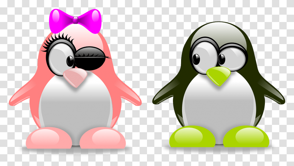 Love Cartoon, Bird, Animal, Penguin, King Penguin Transparent Png