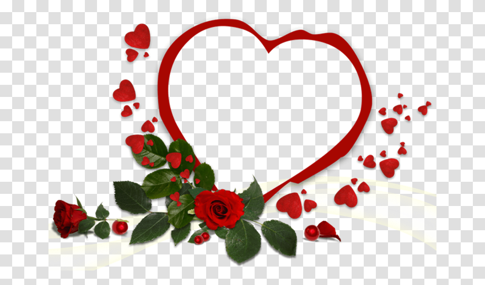 Love Frame Hd, Rose, Flower, Plant, Blossom Transparent Png