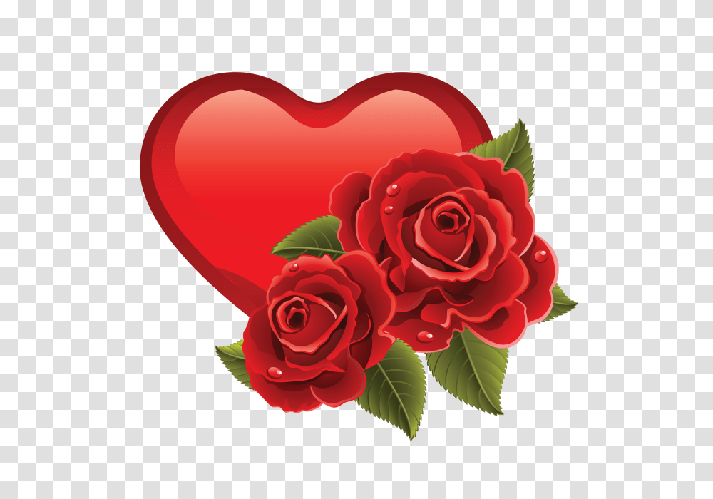 Love Heard, Valentines Day, Holiday, Rose, Flower, Plant Transparent Png