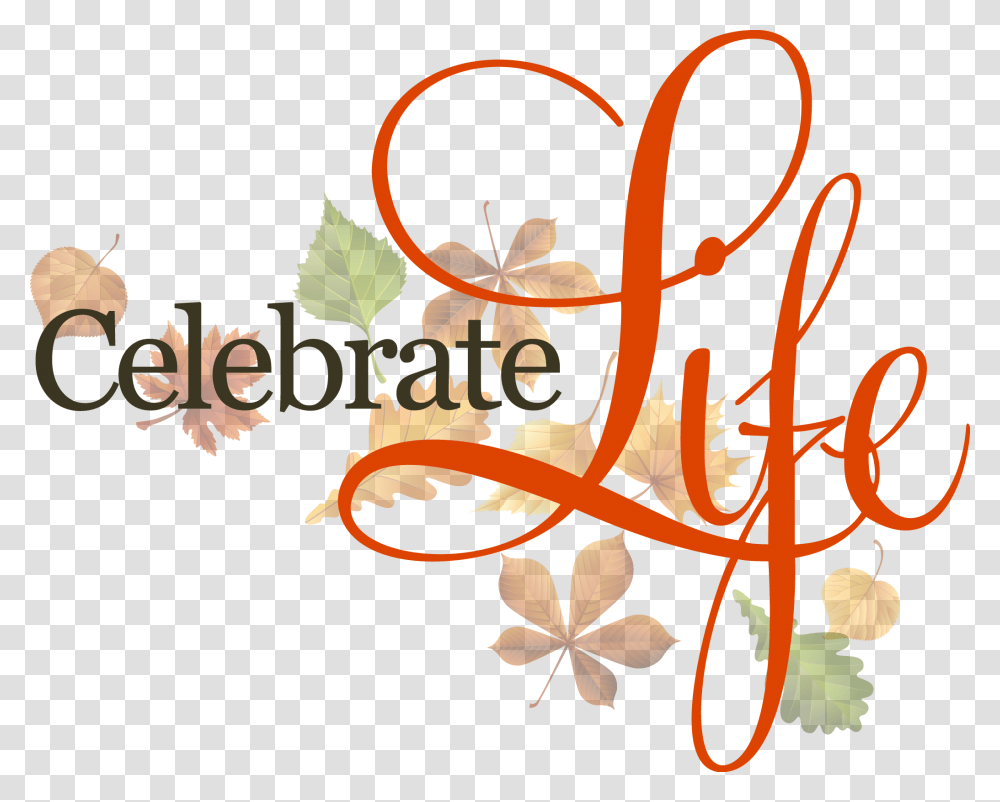 Love In Action 24 7 Pregnancy Solutions Services Birthday Celebrate Life, Floral Design, Pattern Transparent Png