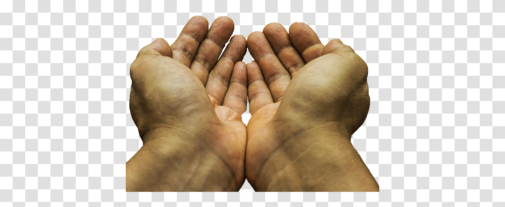 Love Is Restoration Of The Family Mo Doando, Hand, Wrist, Finger, Person Transparent Png