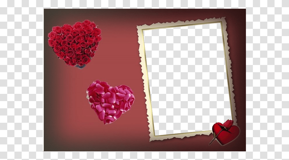 Love Photo Editor Frame, Plant, Flower, Blossom, Rose Transparent Png