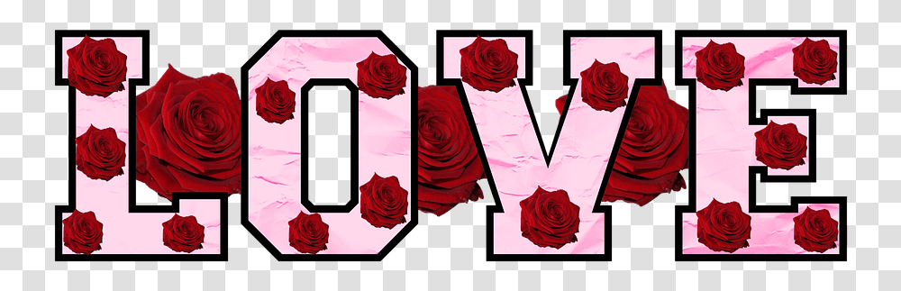 Love Roses Text Flowers Floral Petal Valentine Garden Roses, Plant, Blossom, Maroon Transparent Png