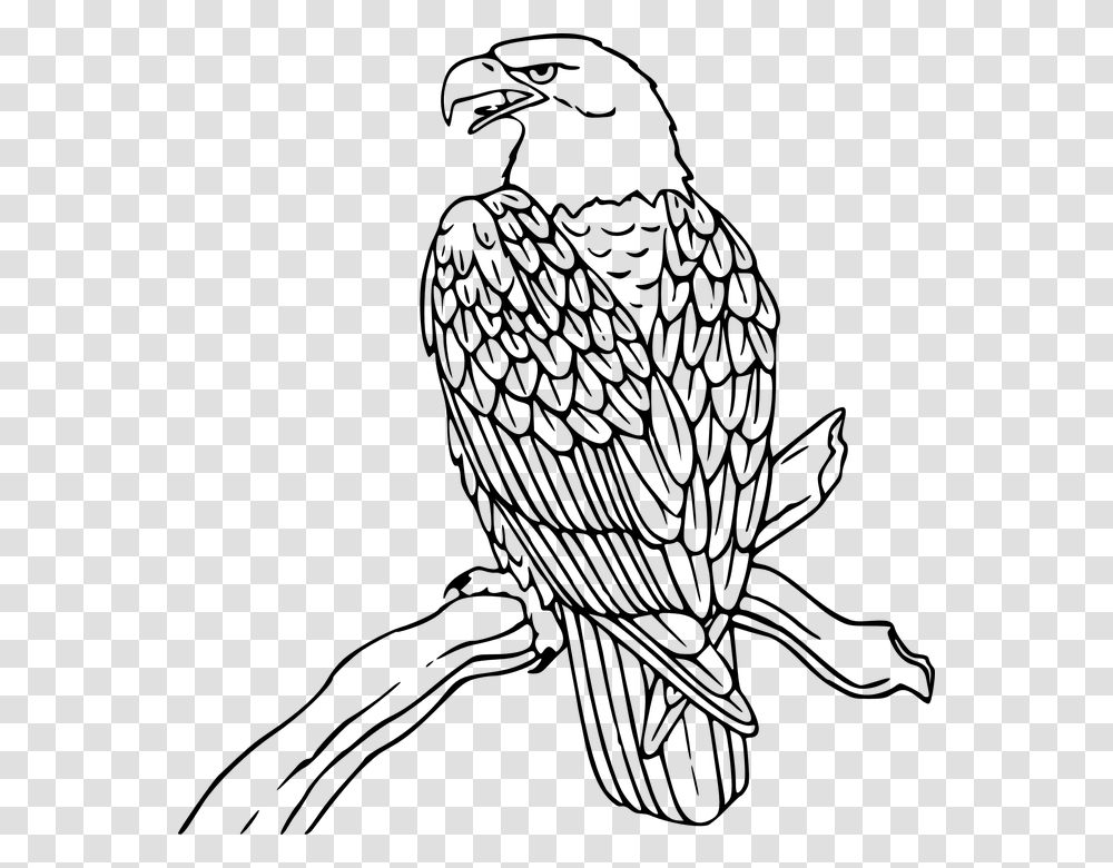 Love Wood Clipart Eagle Eagle Clip Art, Gray, World Of Warcraft Transparent Png