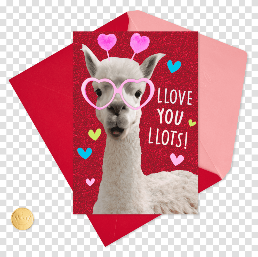 Love You Lots Llamas Valentine's Day Llama, Mammal, Animal, Paper, Alpaca Transparent Png