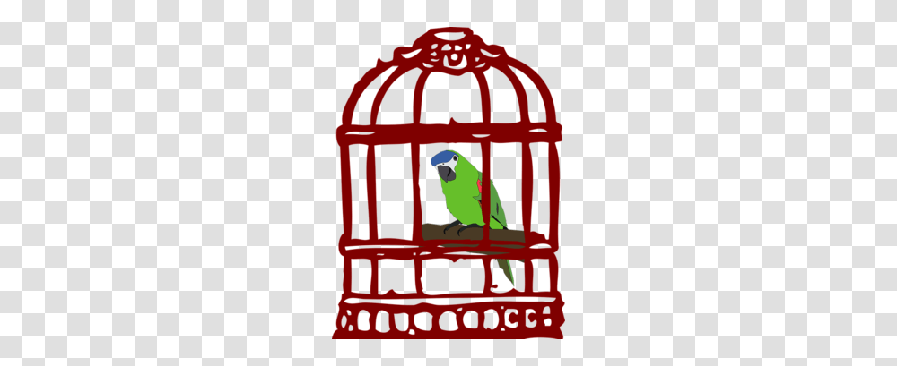 Lovebird Clipart, Animal, Parrot, Macaw, Parakeet Transparent Png