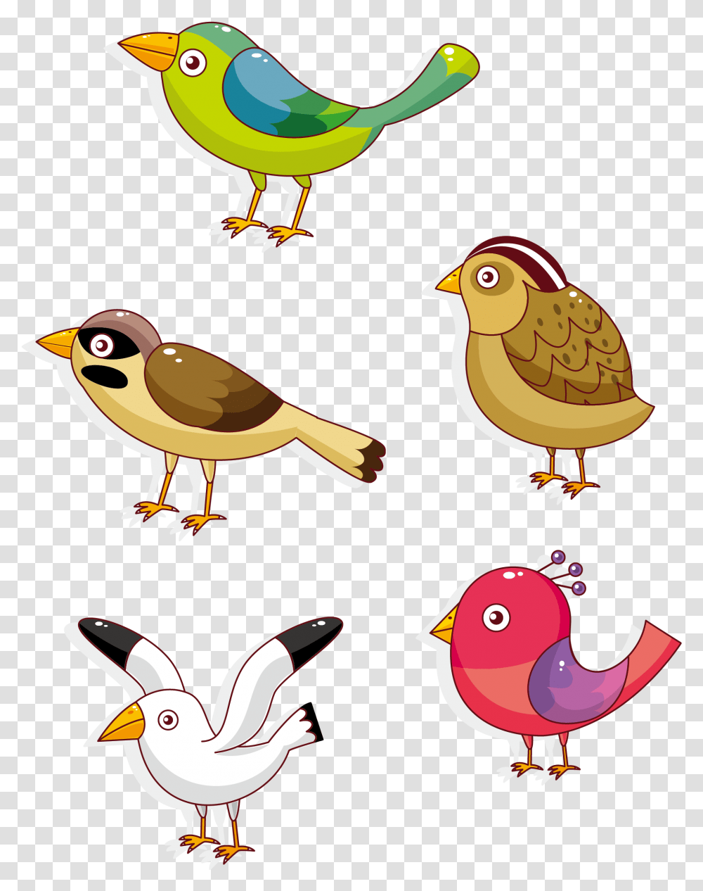 Lovebird Parrot Owl Dibujos Animales Con Plumas, Poultry, Fowl, Finch, Chicken Transparent Png