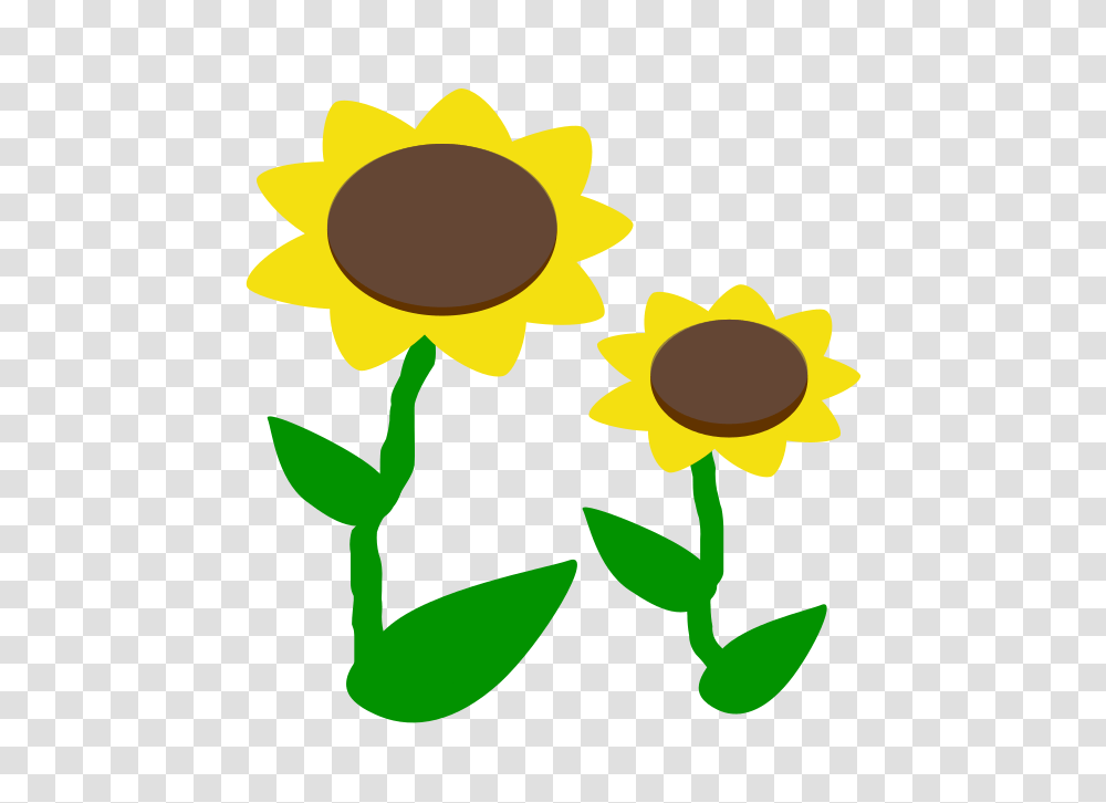 Lovely Color Icons And Clip Art, Plant, Flower, Blossom, Sunflower Transparent Png