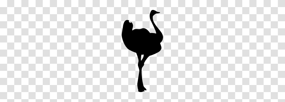 Lovely Ostrich Sticker, Silhouette, Bird, Animal, Stencil Transparent Png