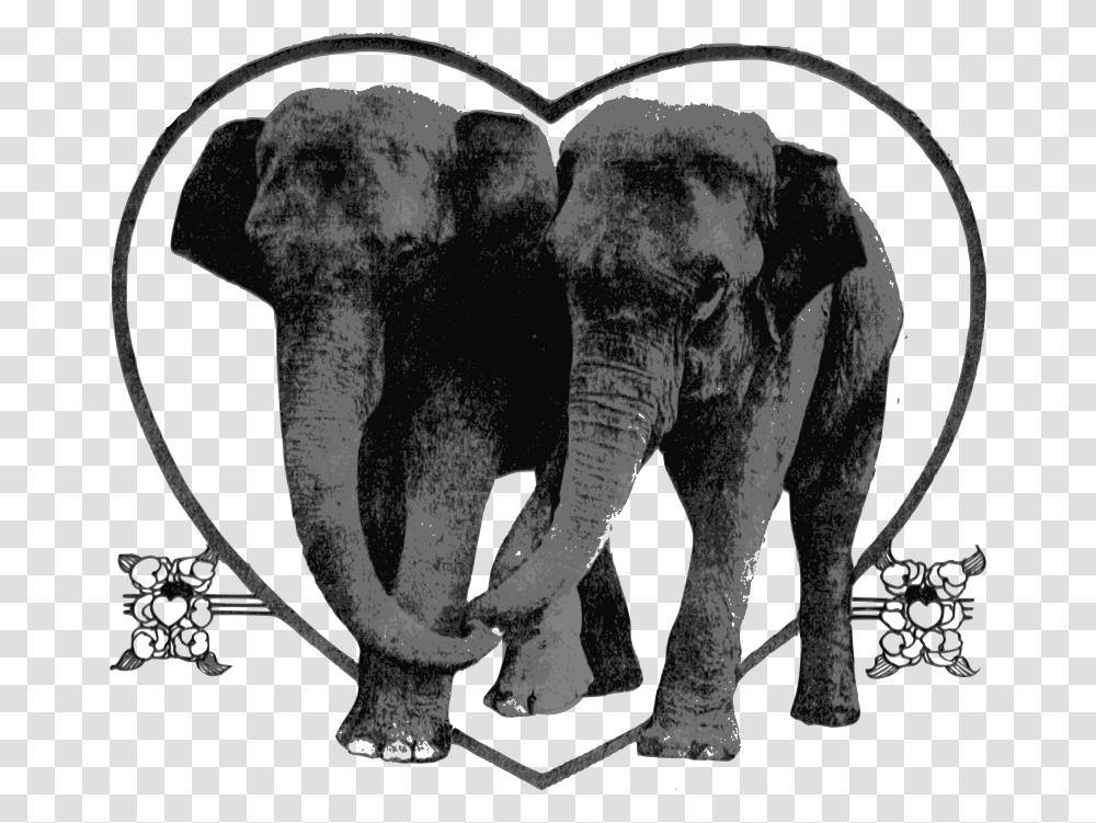 Loverelephants, Emotion, Wildlife, Mammal, Animal Transparent Png