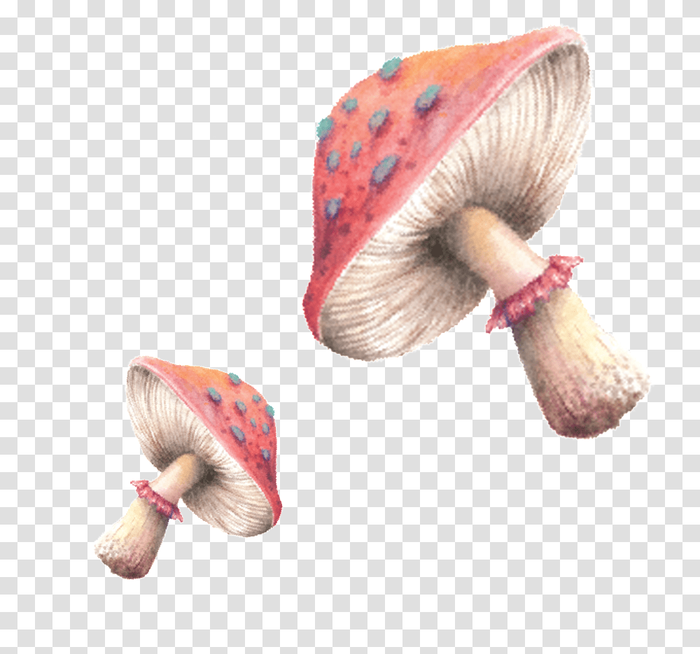 Lovers Mushrooms Painting, Plant, Agaric, Fungus, Amanita Transparent Png