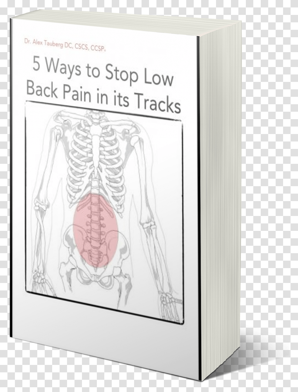 Low Back Pain Ebook Illustration, Drawing, Sketch Transparent Png