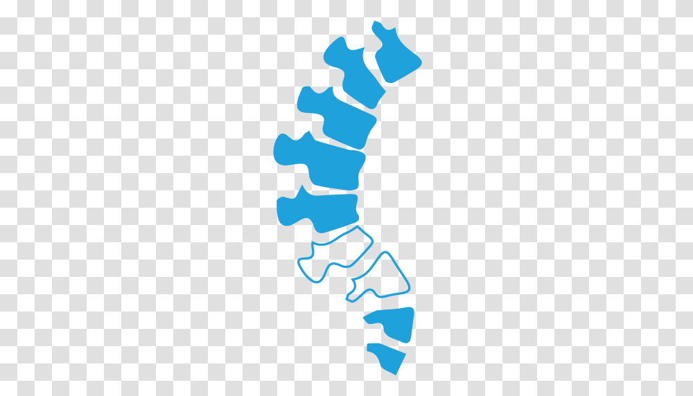 Low Back Pain Project, Seahorse, Mammal, Sea Life, Animal Transparent Png