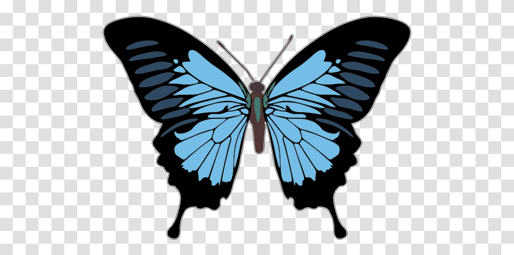 Lower Back Tattoo Butterfly Design Fairy T Shirt Free Butterfly Vector, Insect, Invertebrate, Animal, Pattern Transparent Png