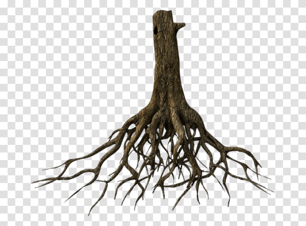 Lower Tree Trunk And Roots Tree Roots, Plant, Giraffe, Wildlife, Mammal Transparent Png