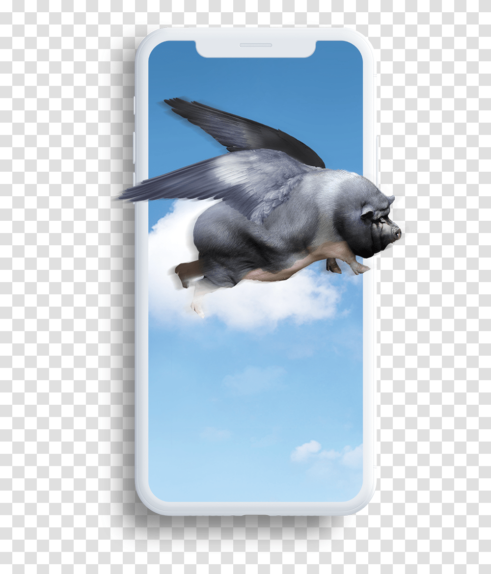 Loyaltopia When Pigs Fly, Bird, Animal, Statue, Sculpture Transparent Png