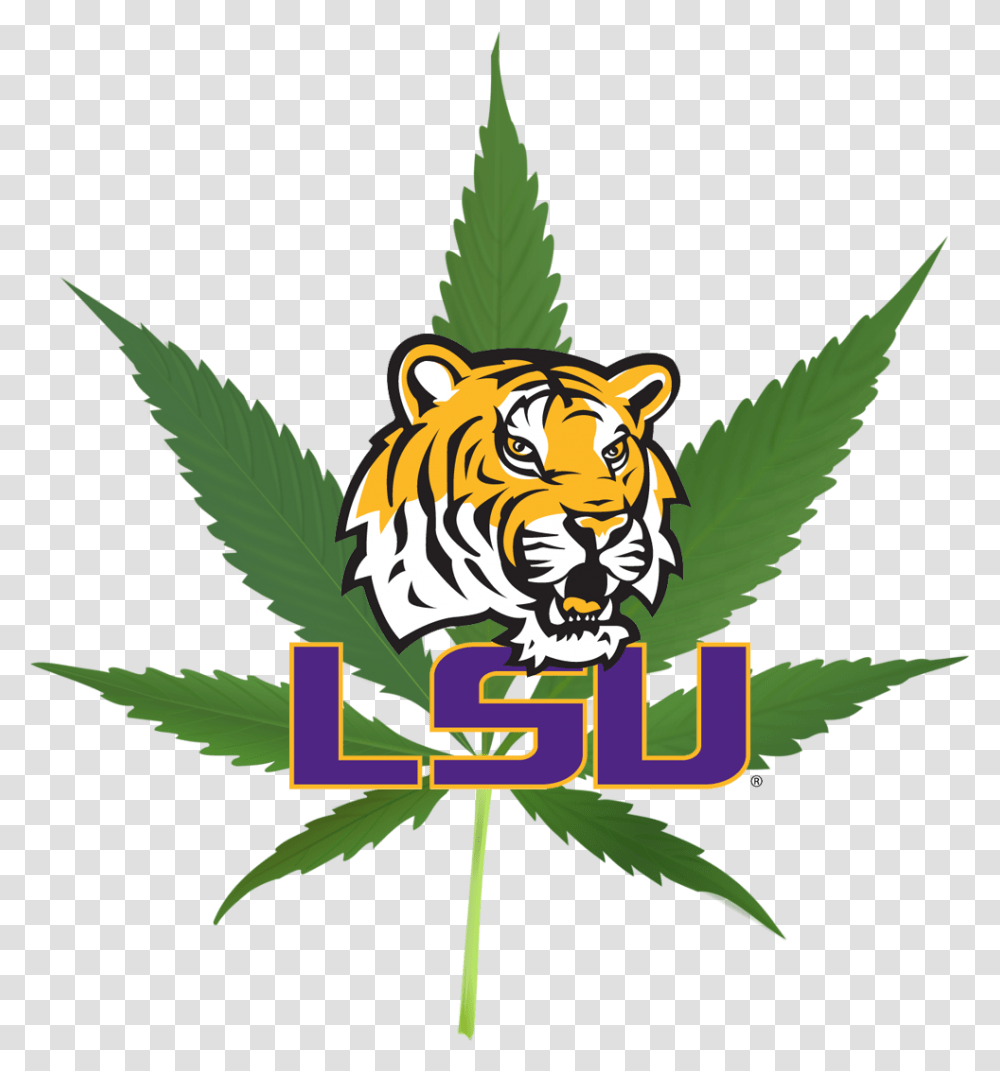 Lsu To Grow Cannabis, Plant, Weed, Tiger, Wildlife Transparent Png