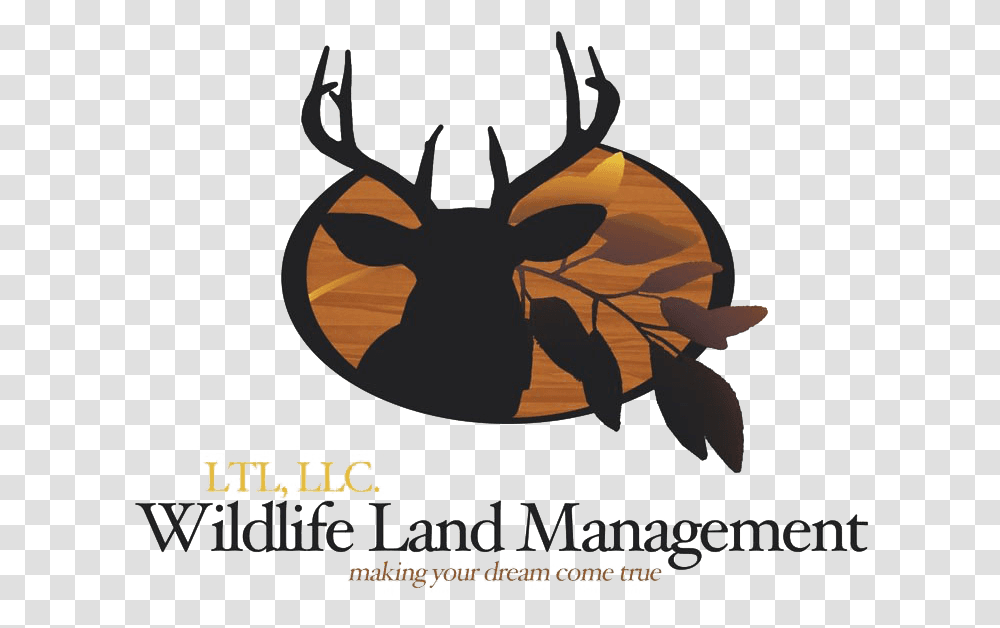 Ltl Wildlife Land Management Just Writers Publishing Company, Insect, Invertebrate, Animal, Poster Transparent Png