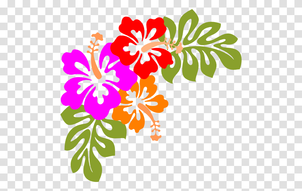 Luau Compass Lodge No, Plant, Hibiscus, Flower, Blossom Transparent Png