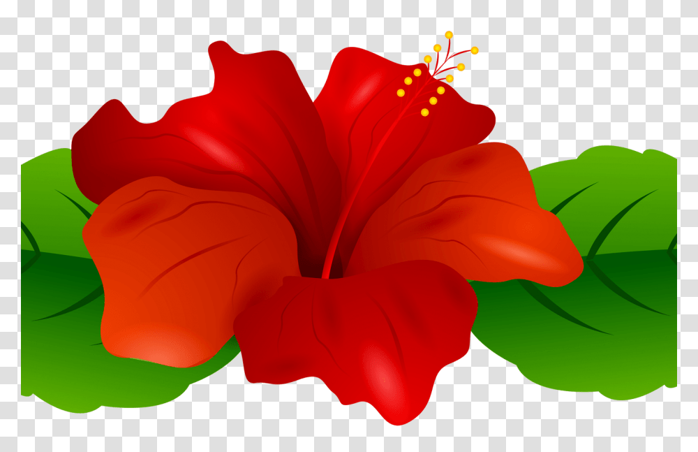 Luau Necklace Clip Art Hot Trending Now, Plant, Petal, Flower, Blossom Transparent Png