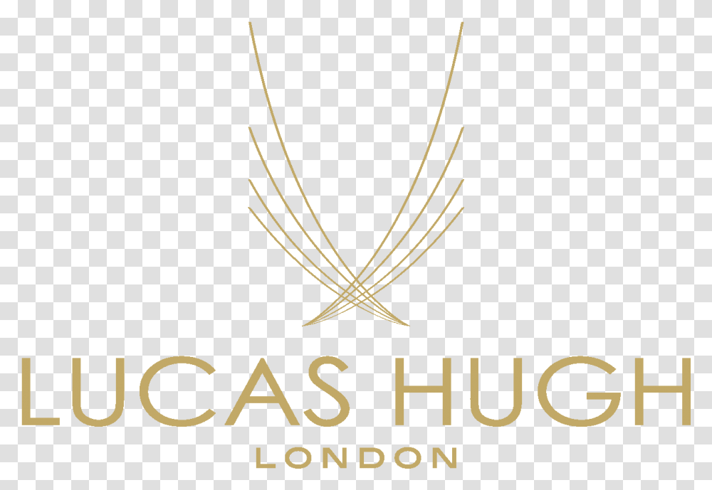 Lucas Hugh, Alphabet, Spider Transparent Png
