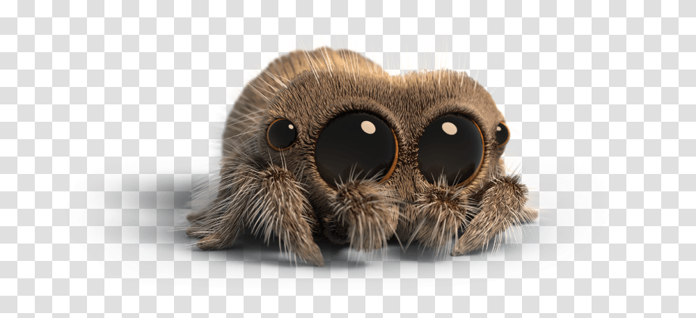 Lucas The Spider No Background, Animal, Invertebrate, Insect, Bird Transparent Png