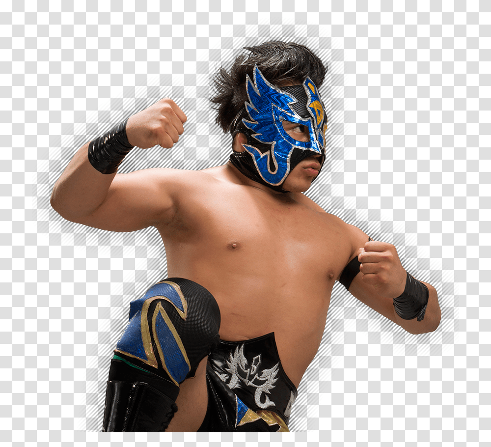 Luchador Aaa, Person, Human, Sport, Sports Transparent Png
