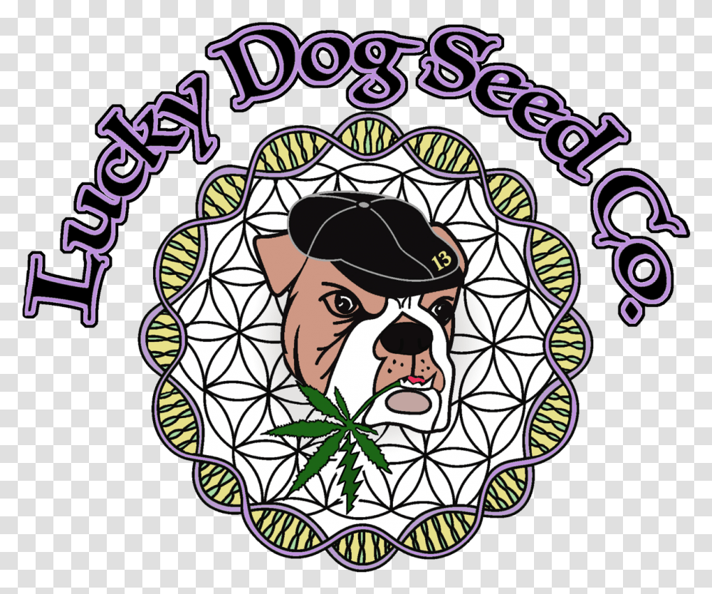 Lucky Dog Seed Co, Doodle, Drawing, Person Transparent Png
