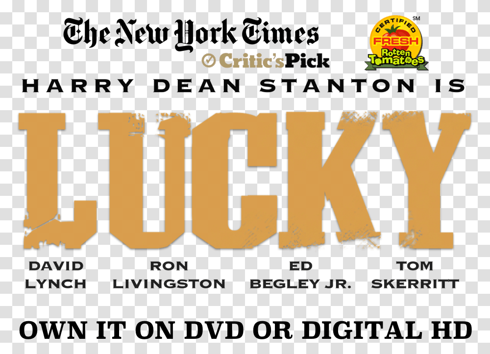 Lucky Magnolia Pictures New York Times, Text, Word, Alphabet, Label Transparent Png