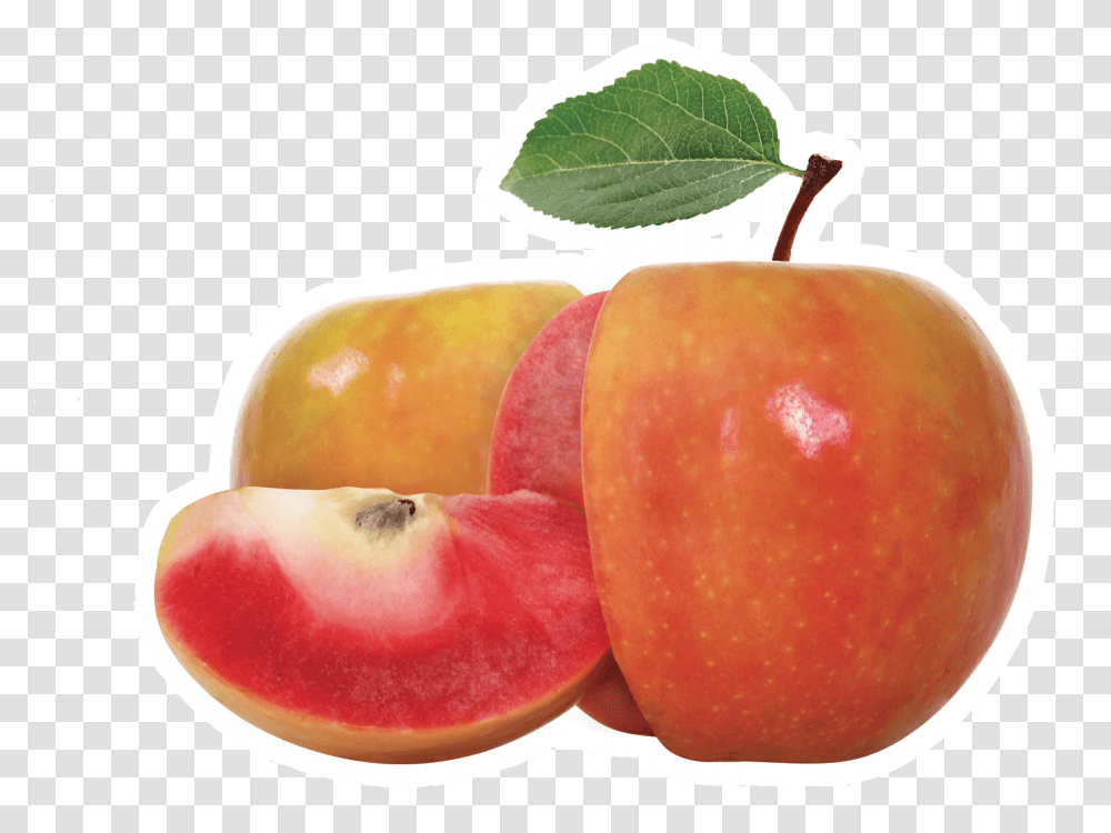Lucy Apple Chelan Fresh Lucy Glo Apple, Plant, Fruit, Food, Egg Transparent Png