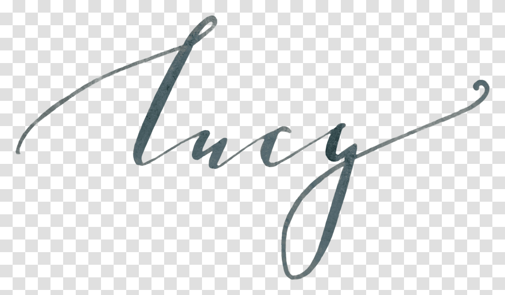 Lucy Wines, Bow, Handwriting, Signature Transparent Png