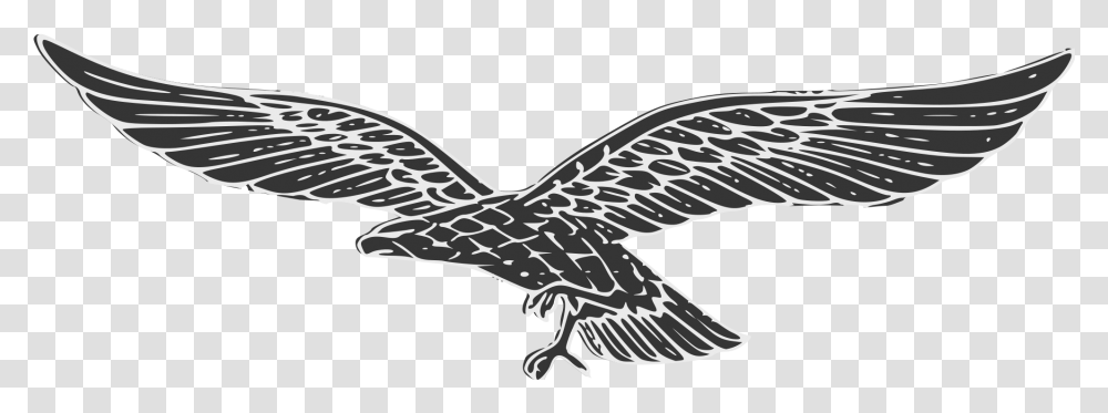 Luftwaffe Eagle No Swastika, Emblem, Bird, Animal Transparent Png