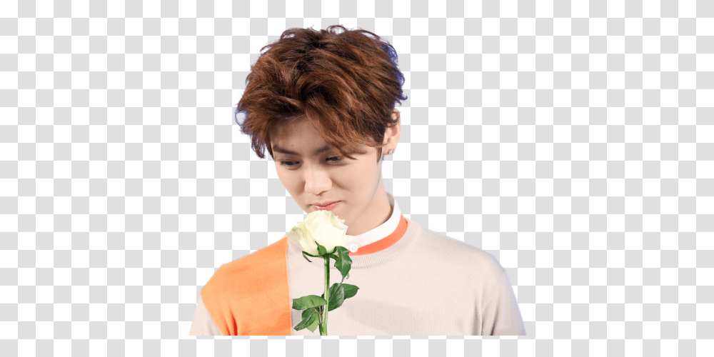 Luhan Exo, Person, Human, Plant, Flower Transparent Png