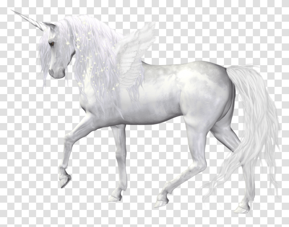 Lularoe Unicorn Fantasy Unicorn, Horse, Mammal, Animal, Andalusian Horse Transparent Png