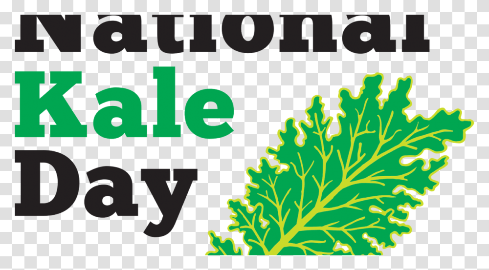 Lulu Blossom National Kale Day, Plant, Vegetation, Leaf Transparent Png