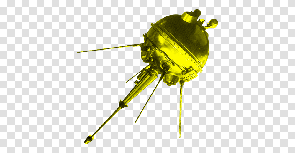 Luna, Bow, Sphere, Insect, Invertebrate Transparent Png