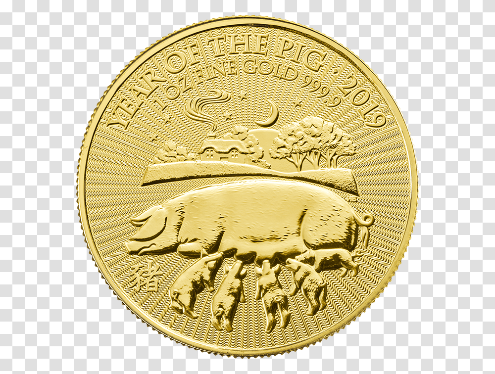 Lunar 2019 Year Of The Pig 1 Oz Gold CoinSrc Https Gold Coin Year Of The Pig 1 Oz 2019, Fish, Animal, Money, Rug Transparent Png
