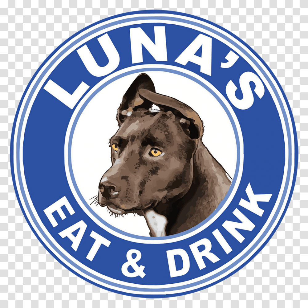 Lunas Eat And Drink Dog Catches Something, Pet, Canine, Animal, Mammal Transparent Png
